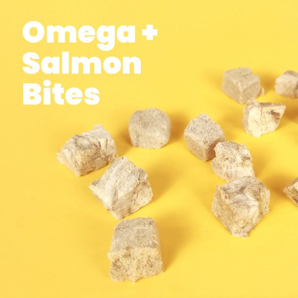 All Too Good Freeze-Dried Treat Omega+Salmon Bites 100g-All Too Good-Catsmart-express