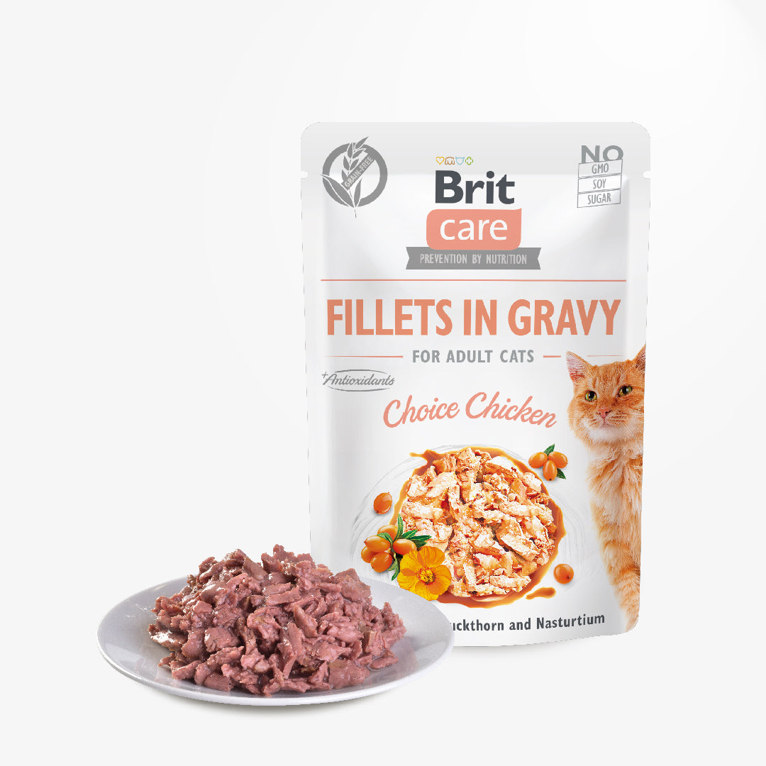 Brit Care Cat Fillets in Gravy With Choice Chicken 85g Carton (24 Pouches)-Brit-Catsmart-express