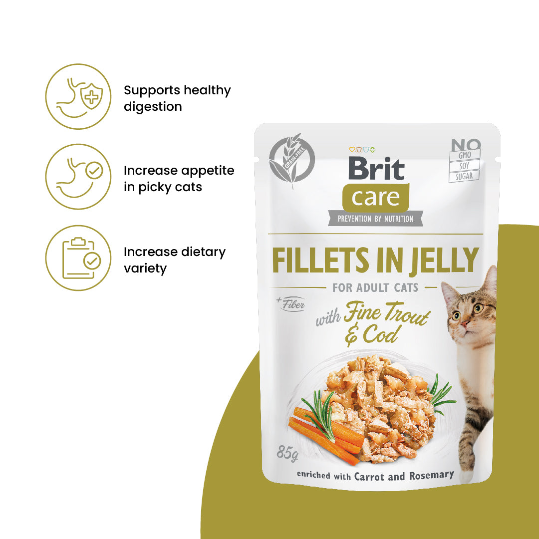 Brit Care Cat Fillets in Jelly with Fine Trout and cod 85g Carton (24 Pouches)-Brit-Catsmart-express