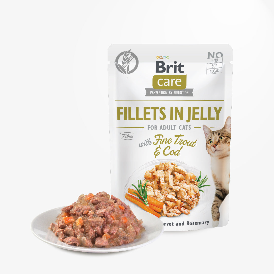 Brit Care Cat Fillets in Jelly with Fine Trout and cod 85g Carton (24 Pouches)-Brit-Catsmart-express