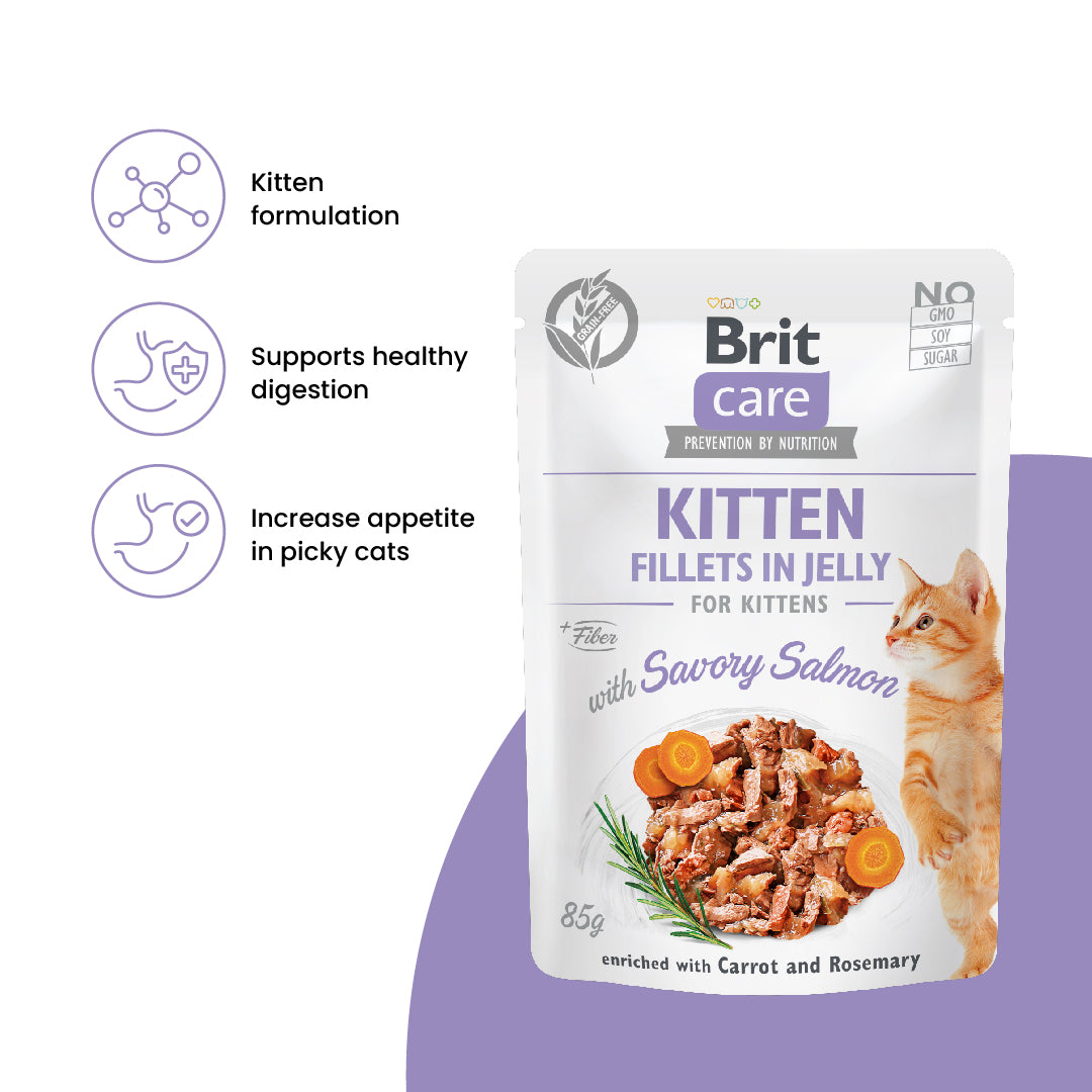 Brit Care Cat Pouch Kitten Fillets in Jelly with Savory Salmon 85g Carton (24 Pouches)-Brit-Catsmart-express