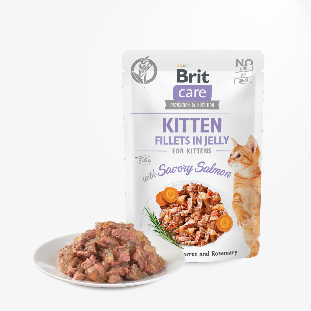 Brit Care Cat Pouch Kitten Fillets in Jelly with Savory Salmon 85g Carton (24 Pouches)-Brit-Catsmart-express