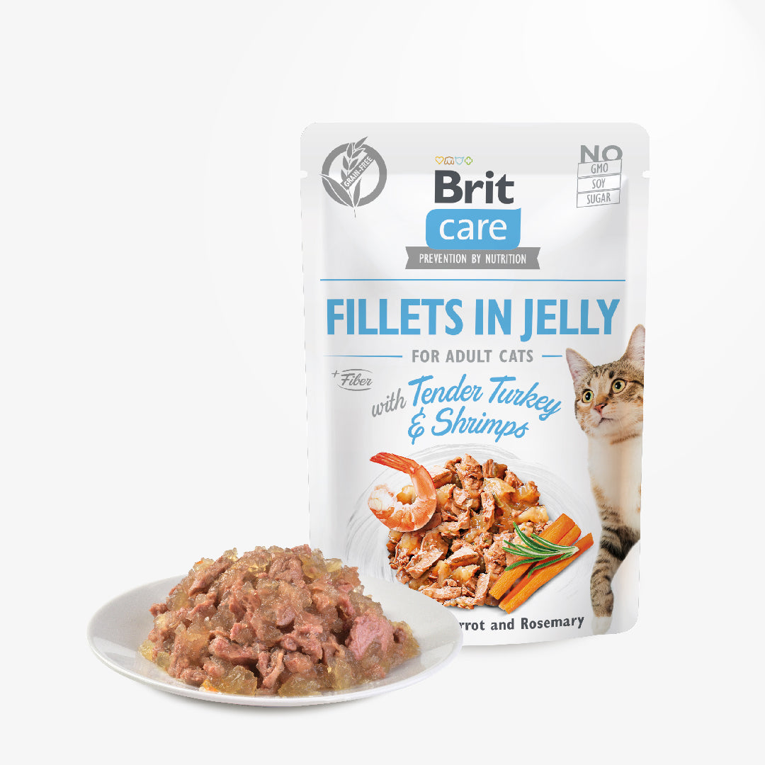 Brit Care Cat Fillets in Jelly with Tender Turkey & Shrimps 85g Carton (24 Pouches)-Brit-Catsmart-express