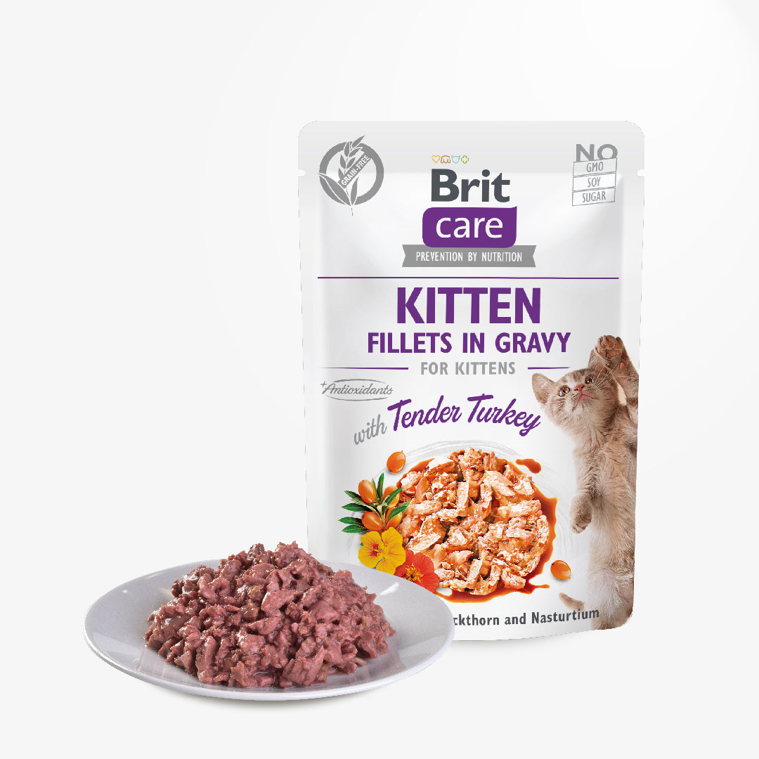 Brit Care Cat Fillets In Gravy with Tender Turkey 85g for Kitten (24 Pouches)-Brit-Catsmart-express