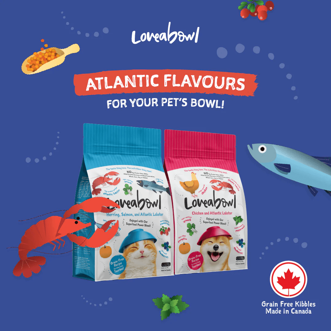 Loveabowl Grain-Free Salmon 1 kg-Loveabowl-Catsmart-express