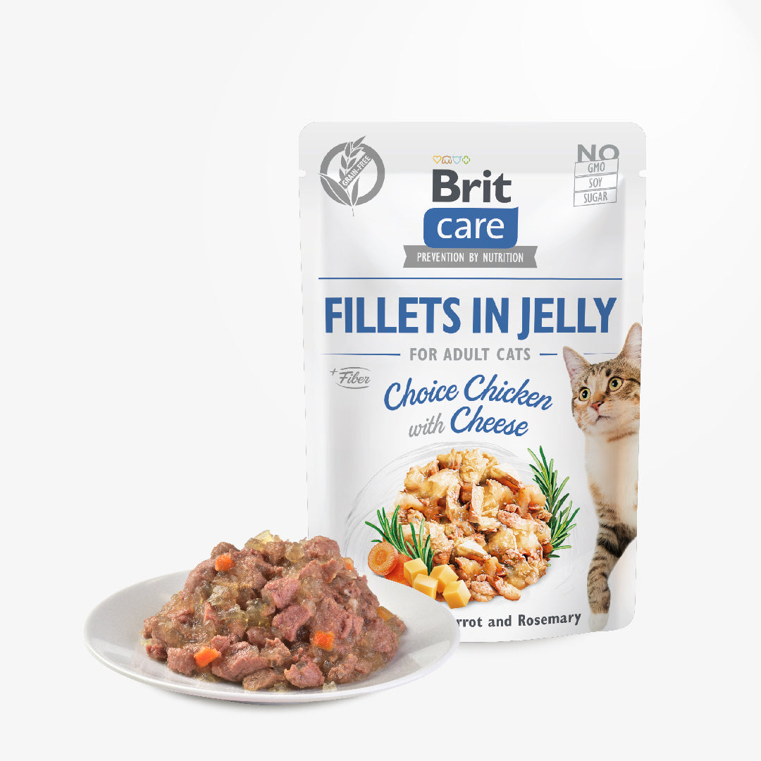Brit Care Cat Fillets in Jelly Choice Chicken with Cheese 85g Carton (24 Pouches)-Brit-Catsmart-express