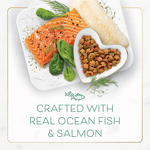 Fancy Feast Dry Food Ocean Fish & Salmon 1.36kg-Fancy Feast-Catsmart-express