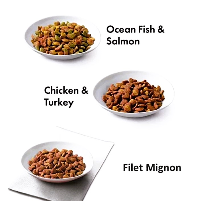 Fancy Feast Dry Food Ocean Fish & Salmon 1.36kg-Fancy Feast-Catsmart-express
