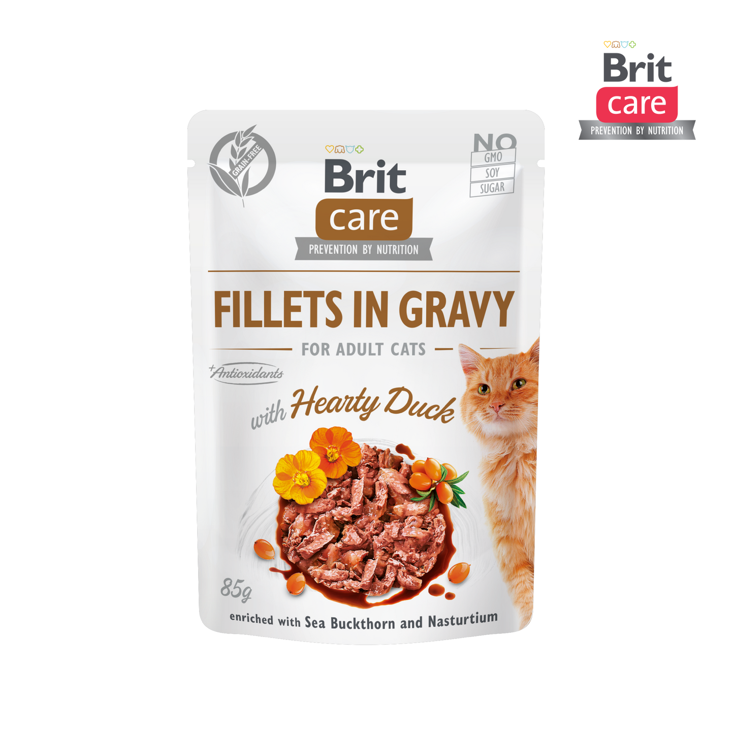 Brit Care Cat Fillets in Gravy with Hearty Duck 85g Carton (24 pouches)-Brit-Catsmart-express