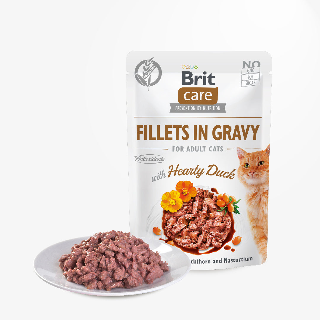 Brit Care Cat Fillets in Gravy with Hearty Duck 85g Carton (24 pouches)-Brit-Catsmart-express