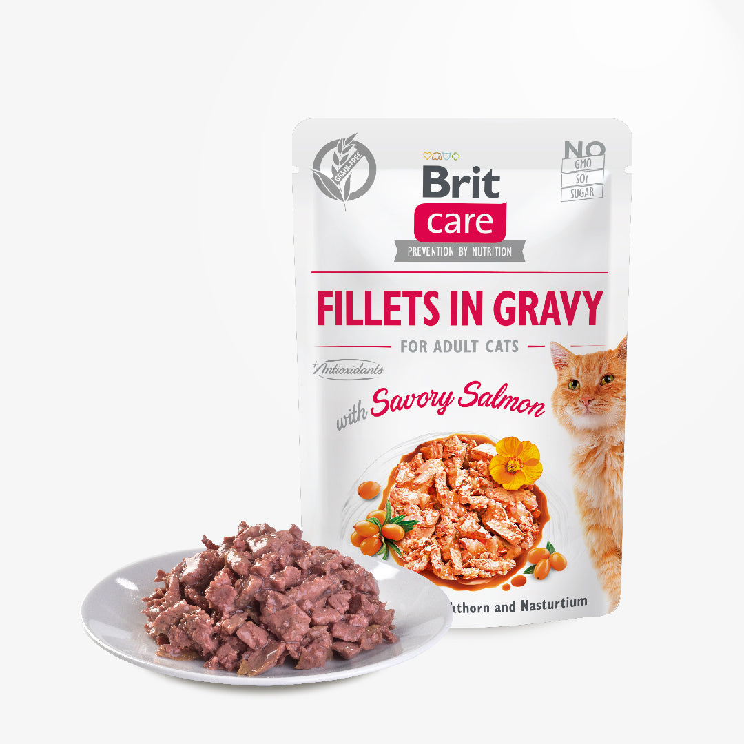 Brit Care Cat Fillets in Gravy with Savory Salmon 85g-Brit-Catsmart-express