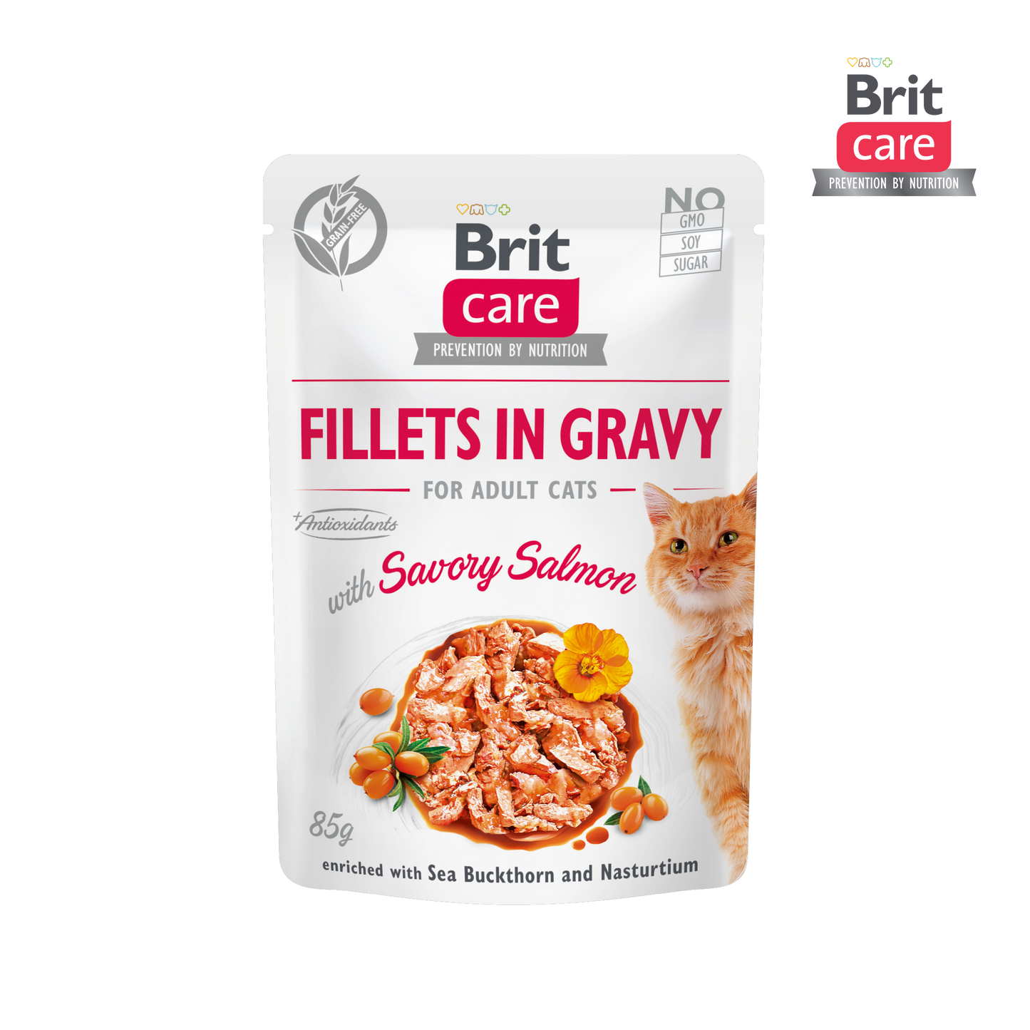 Brit Care Cat Fillets in Gravy with Savory Salmon 85g-Brit-Catsmart-express