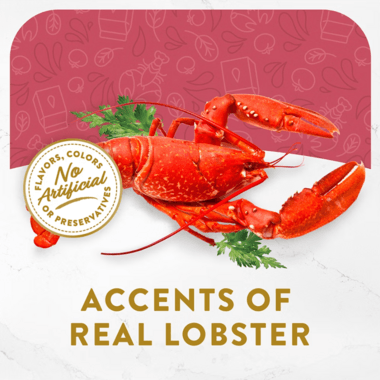 Fancy Feast Broths Seafood Bisque w/Accents of Real Lobster 40g-Fancy Feast-Catsmart-express