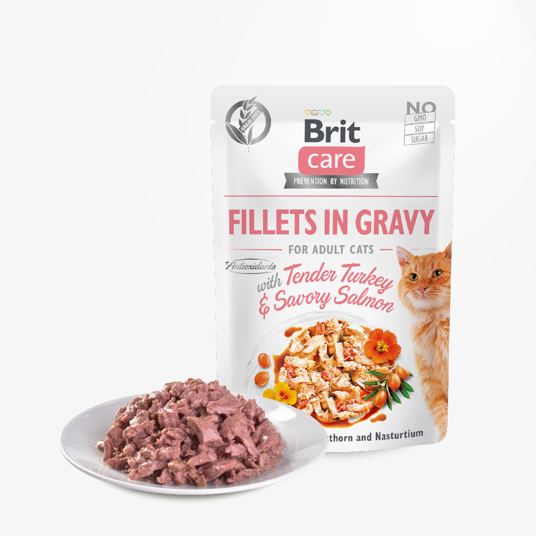 Brit Care Cat Fillets in Gravy With Tender Turkey & Savory Salmon 85g-Brit-Catsmart-express
