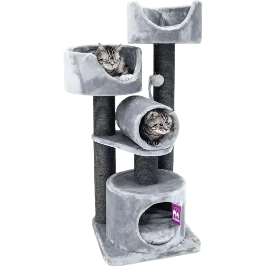 Petrebels Kings & Queens Victoria 125 Grey-Petrebels-Catsmart-express