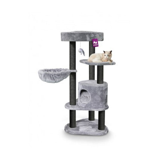 Petrebels Kings & Queens Charlotte 134 Grey-Petrebels-Catsmart-express