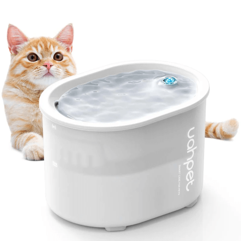 Uahpet Wireless Water Fountain Glow 2L-Uahpet-Catsmart-express