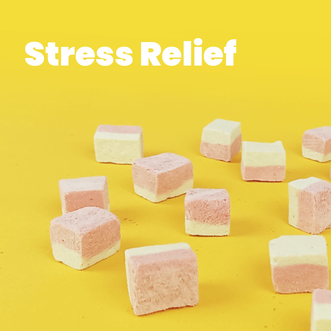 All Too Good Freeze-Dried Treats Chic w/Mixed Berries 100g-Catsmart-express-Catsmart-express