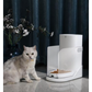 Catlink Cat Collar & UFO Tag Set-Catlink-Catsmart-express