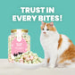 All Too Good Treats Fruity Mini Buns 400g-All Too Good-Catsmart-express
