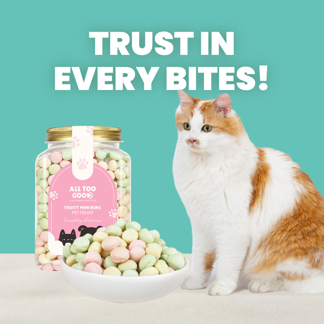 All Too Good Treats Fruity Mini Buns 400g-All Too Good-Catsmart-express