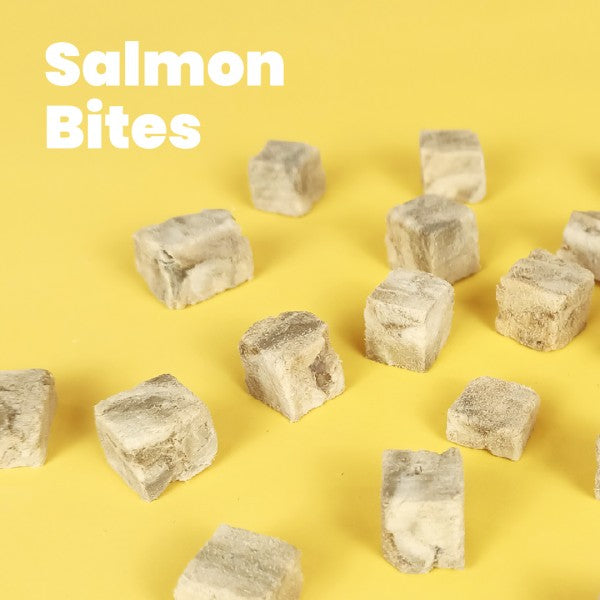 All Too Good Freeze-Dried Treat Salmon Bites 90g-All Too Good-Catsmart-express