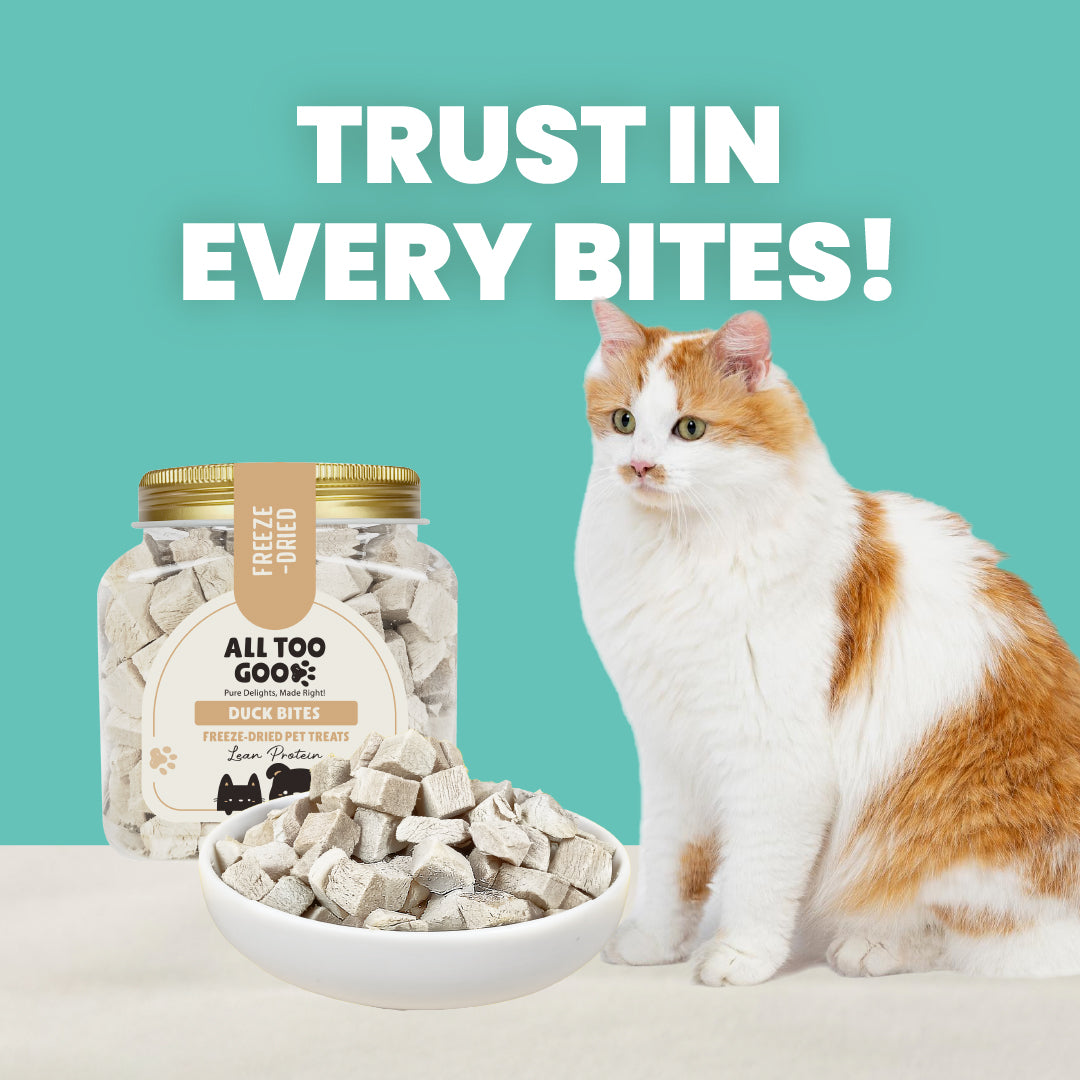 All Too Good Freeze-Dried Treats Duck Bites 70g-All Too Good-Catsmart-express