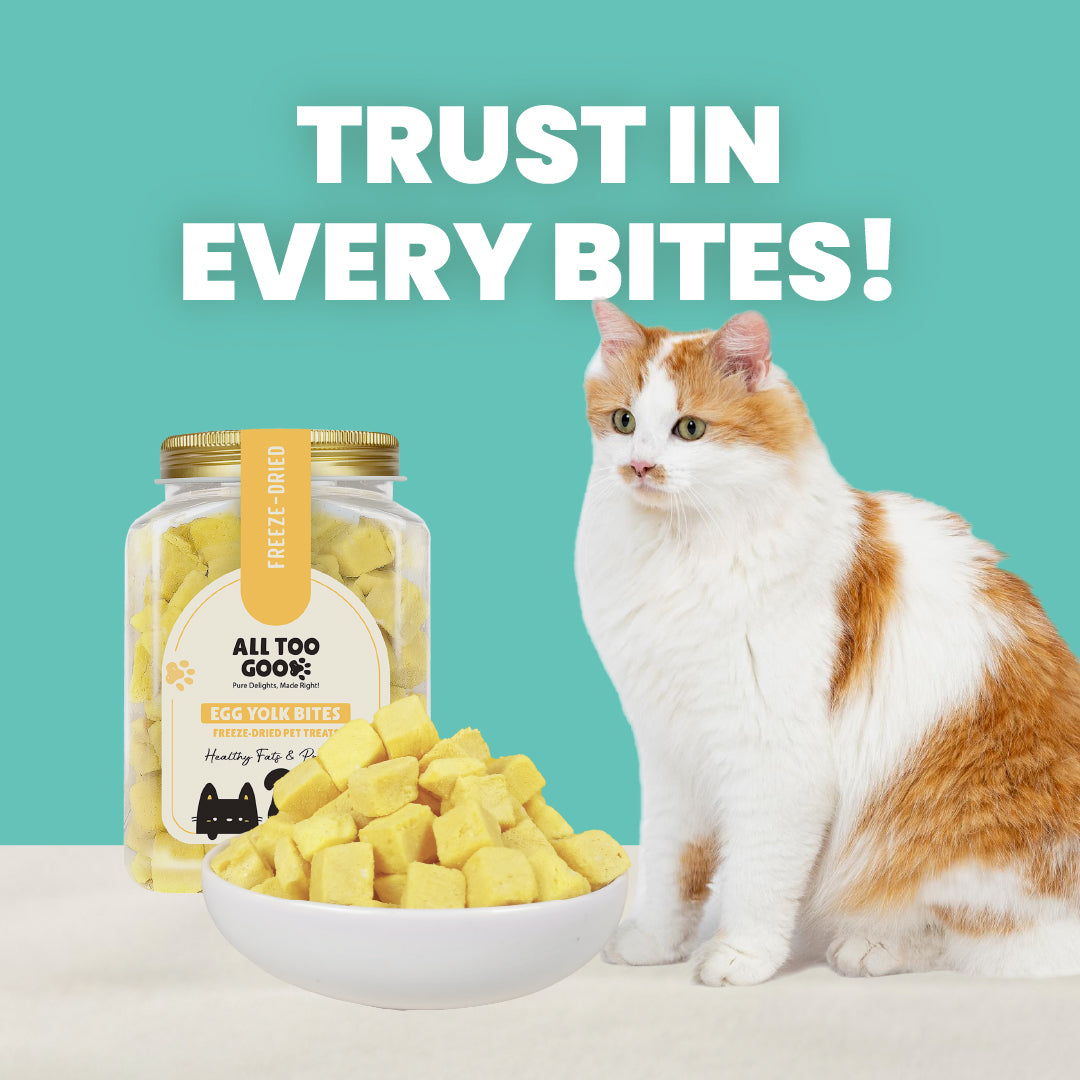 All Too Good Freeze-Dried Treats Egg Yolk Bites 120g-All Too Good-Catsmart-express