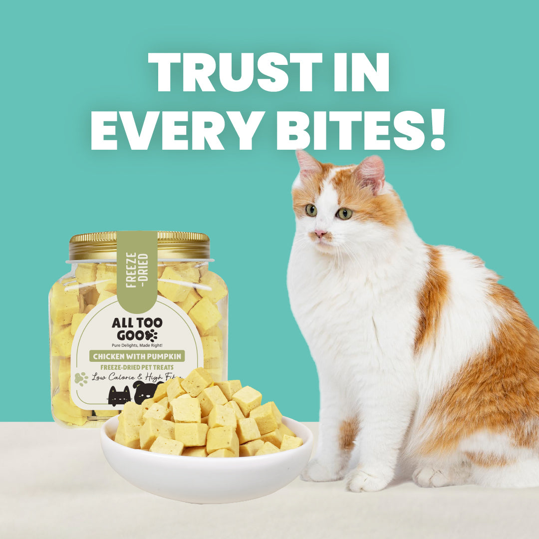 All Too Good Freeze-Dried Treats Chicken w/Pumpkin 120g-All Too Good-Catsmart-express