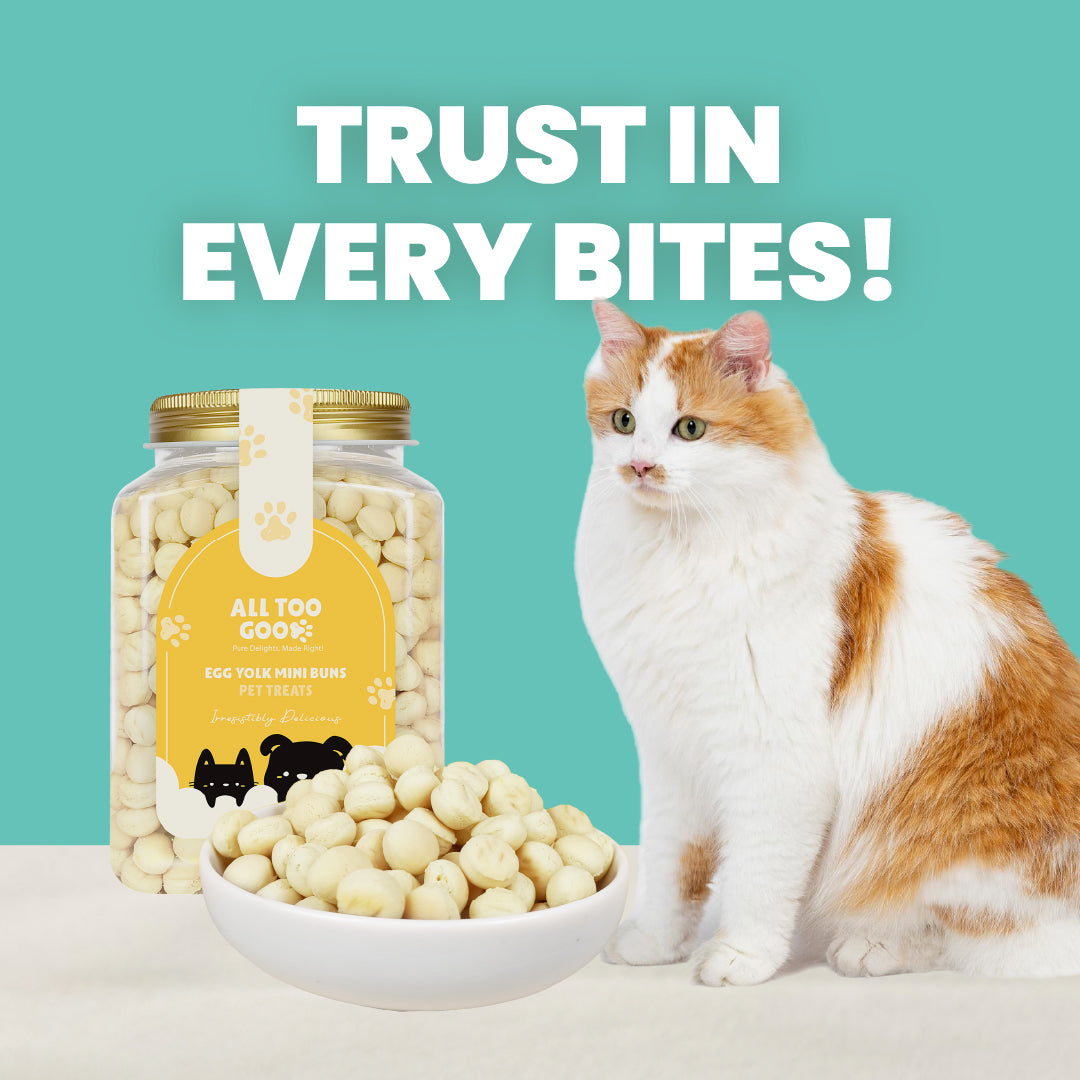 All Too Good Treats Egg Yolk Mini Buns 450g-All Too Good-Catsmart-express