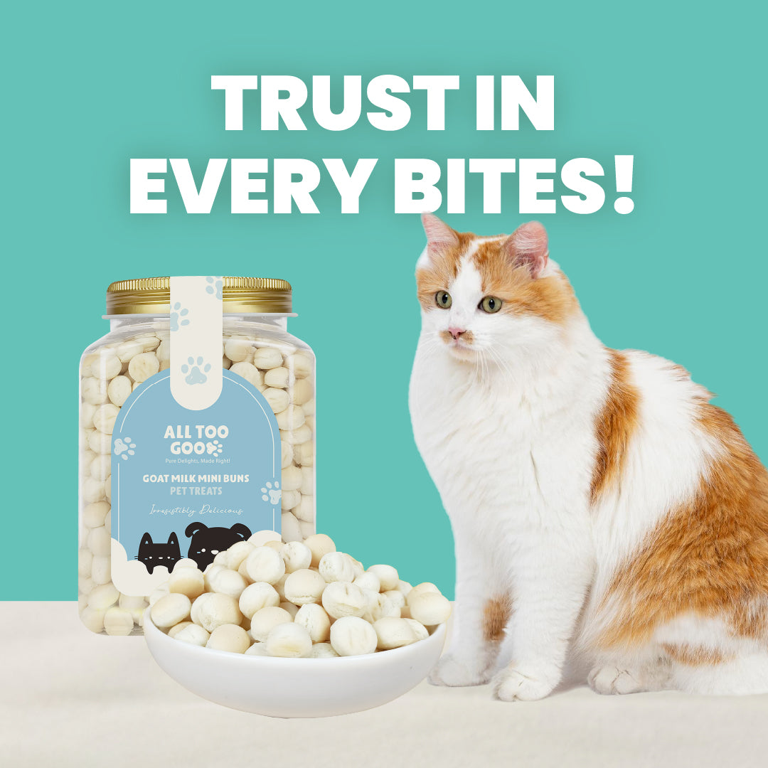 All Too Good Treats Goat Milk Mini Buns 500g-All Too Good-Catsmart-express