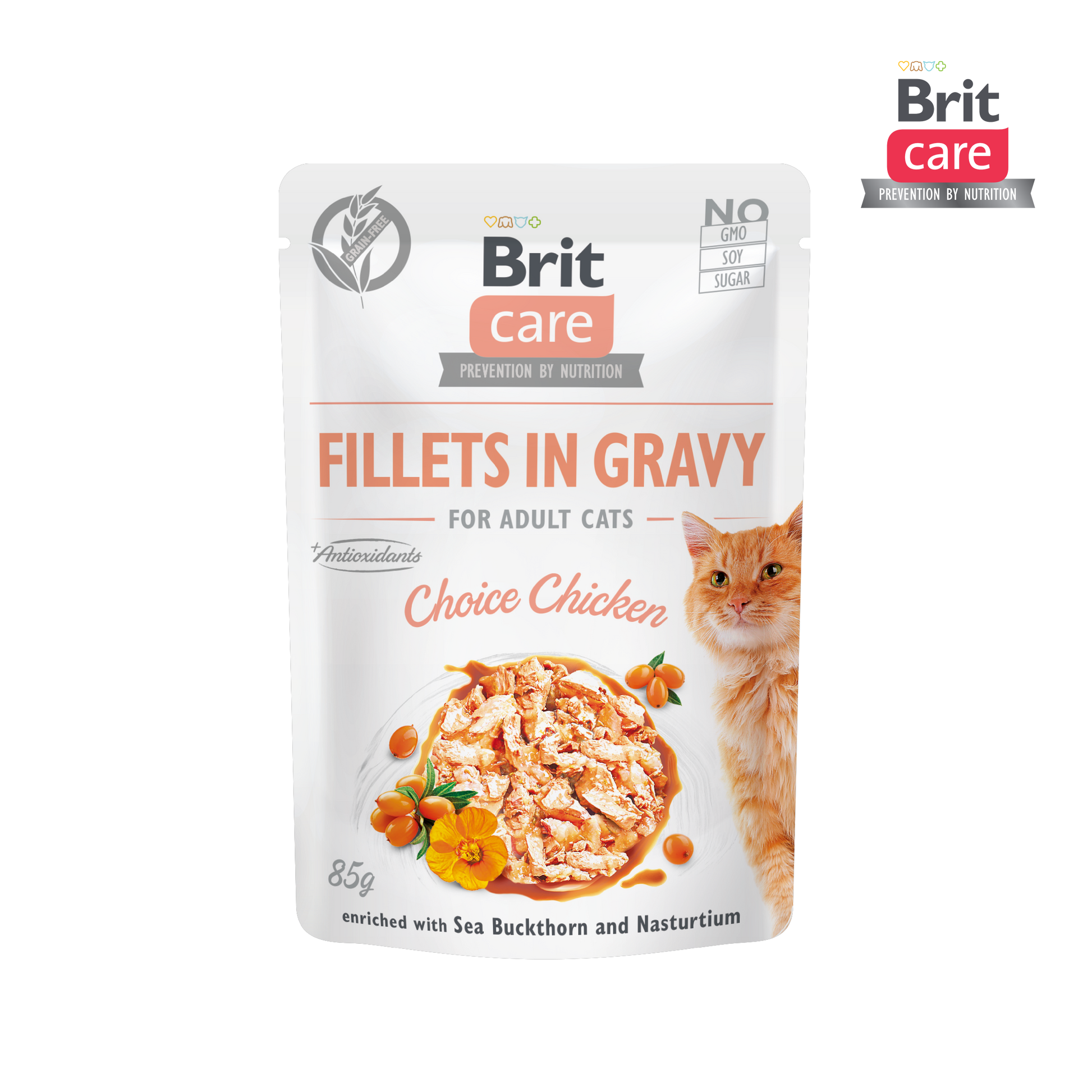 Brit Care Cat Fillets in Gravy With Choice Chicken 85g Carton (24 Pouches)-Brit-Catsmart-express
