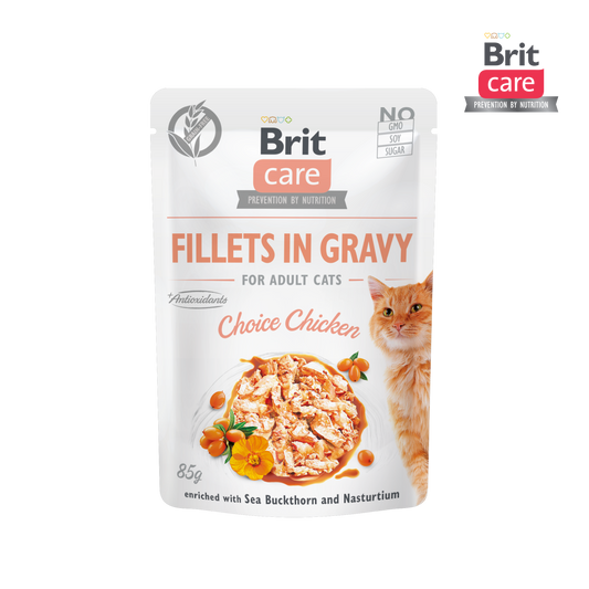Brit Care Cat Fillets in Gravy With Choice Chicken 85g-Brit-Catsmart-express