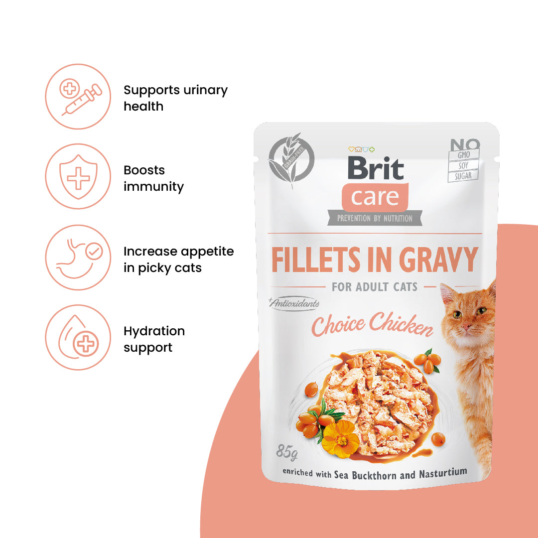 Brit Care Cat Fillets in Gravy With Choice Chicken 85g Carton (24 Pouches)-Brit-Catsmart-express