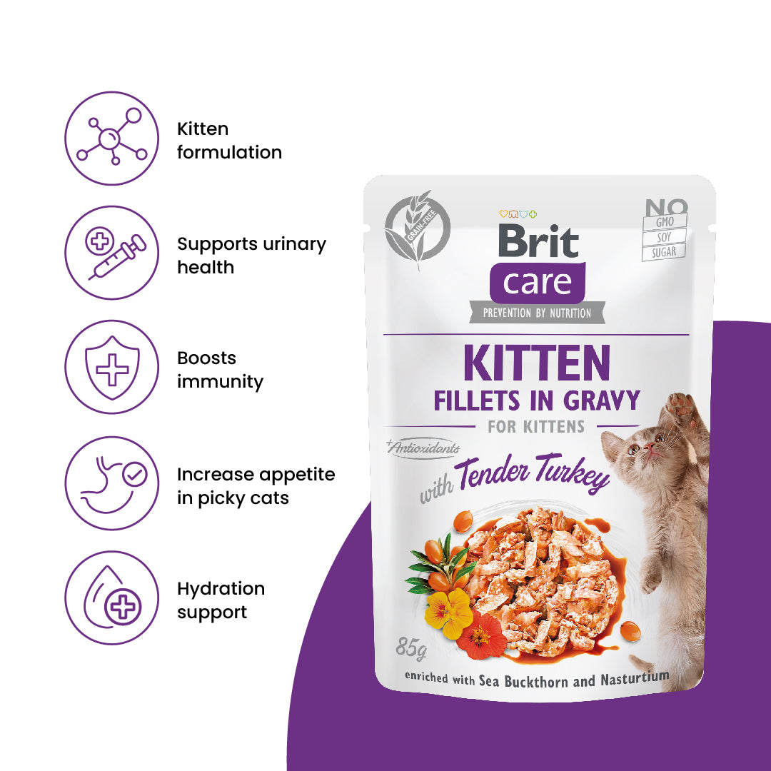 Brit Care Cat Fillets In Gravy with Tender Turkey 85g for Kitten-Brit-Catsmart-express