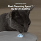 Uahpet Wireless Water Fountain Glow 2L-Uahpet-Catsmart-express