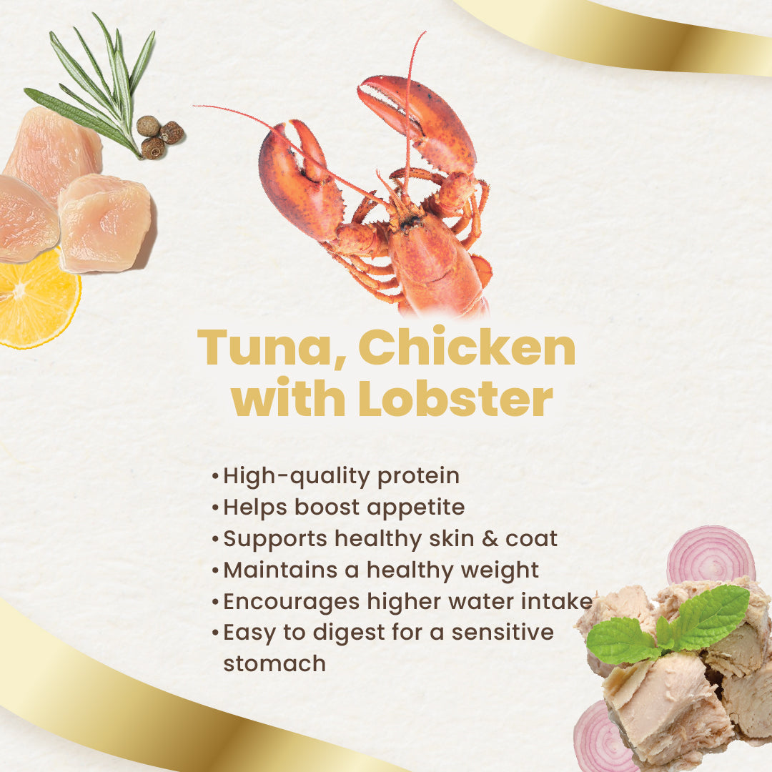 Finesse Royale Tuna & Chicken with Lobster Gravy 85g-Finesse-Catsmart-express