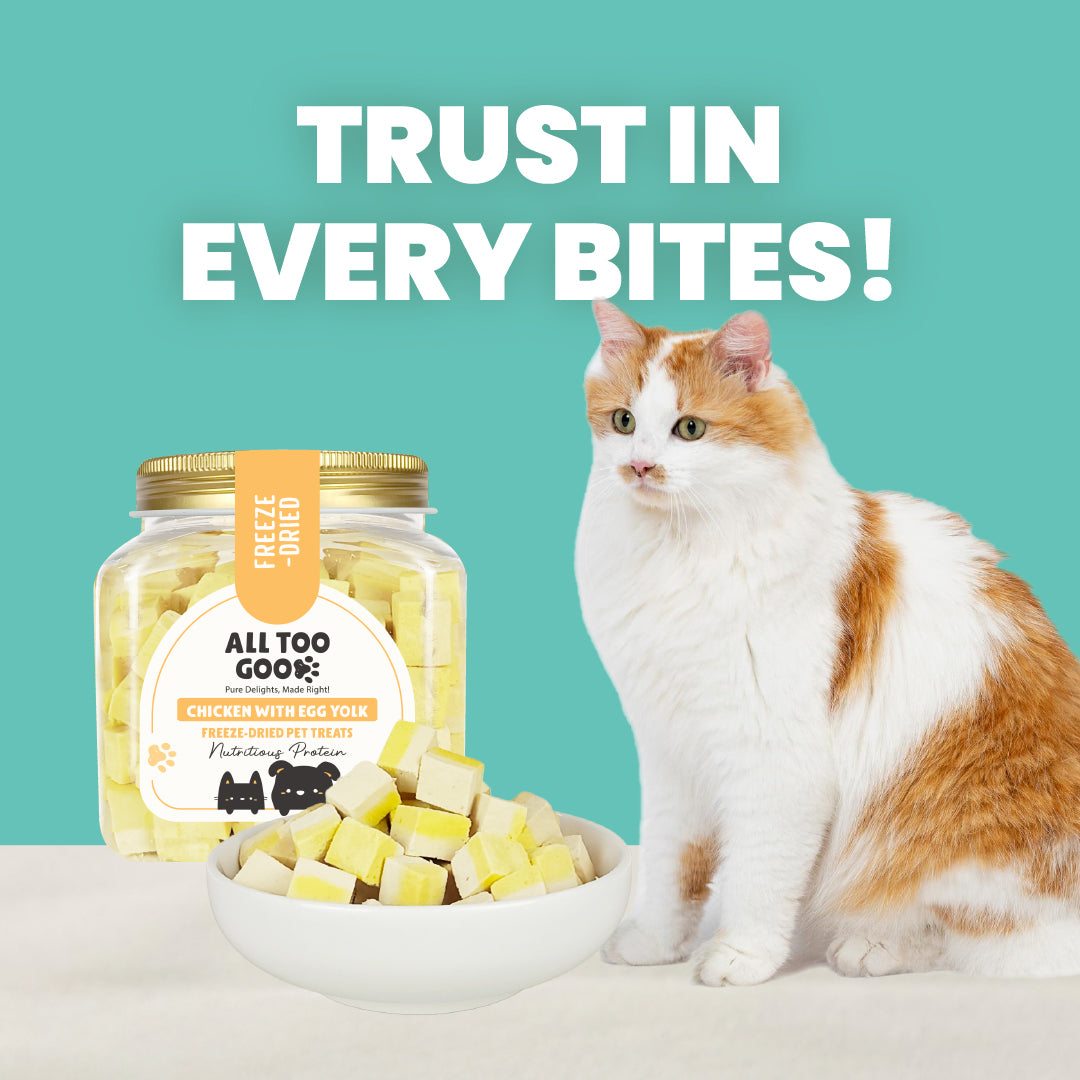 All Too Good Freeze-Dried Treats Chic w/ Egg Yolk 100g-Catsmart-express-Catsmart-express
