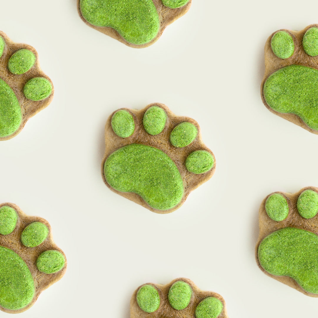 All Too Good Mega Paws Freeze-Dried Treats Chic w/Spinach 54g-All Too Good-Catsmart-express
