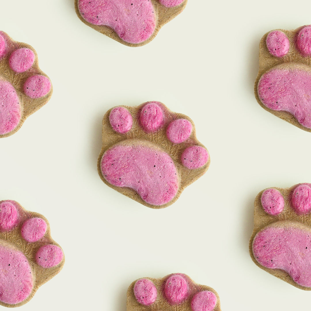 All Too Good Mega Paws Freeze-Dried Treats Chic w/Pitaya 54g-All Too Good-Catsmart-express