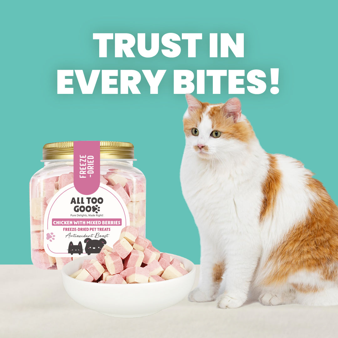 All Too Good Freeze-Dried Treats Chic w/Mixed Berries 100g-Catsmart-express-Catsmart-express