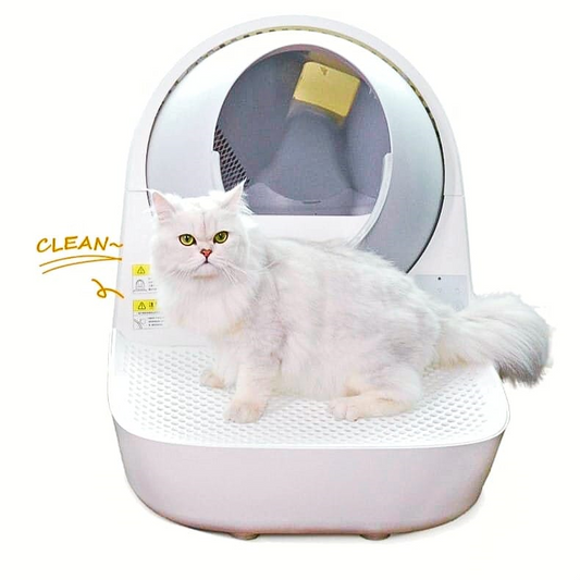 Catlink Young Automatic Cat Litter Box with Stairway 13L-Catlink-Catsmart-express