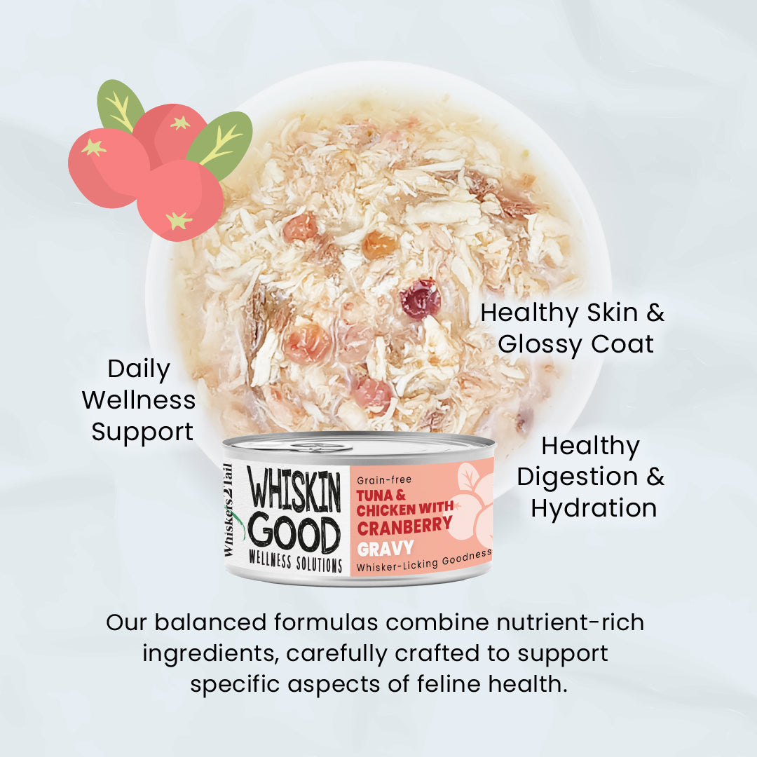 WhiskinGood Wellness Solutions Variety Box-Whiskin'Good-Catsmart-express