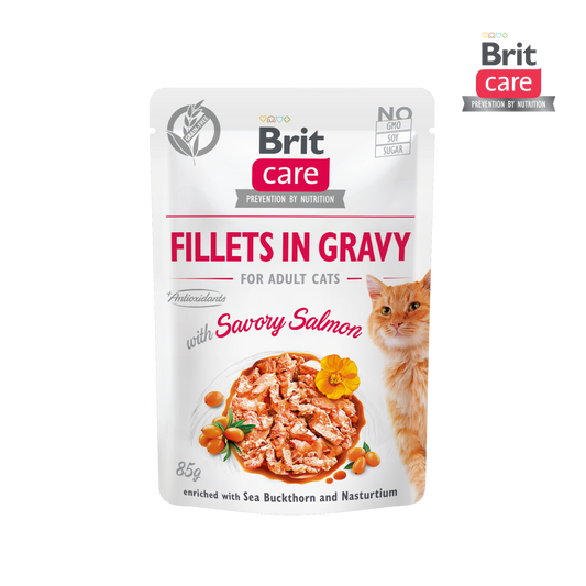 Brit Care Cat Fillets in Gravy with Savory Salmon 85g-Brit-Catsmart-express