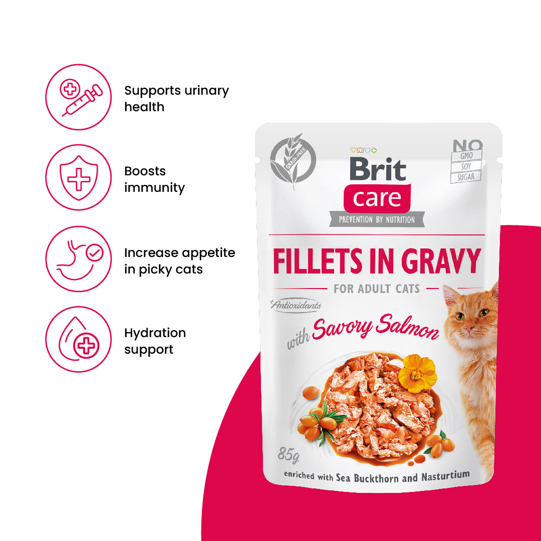 Brit Care Cat Fillets in Gravy with Savory Salmon 85g-Brit-Catsmart-express