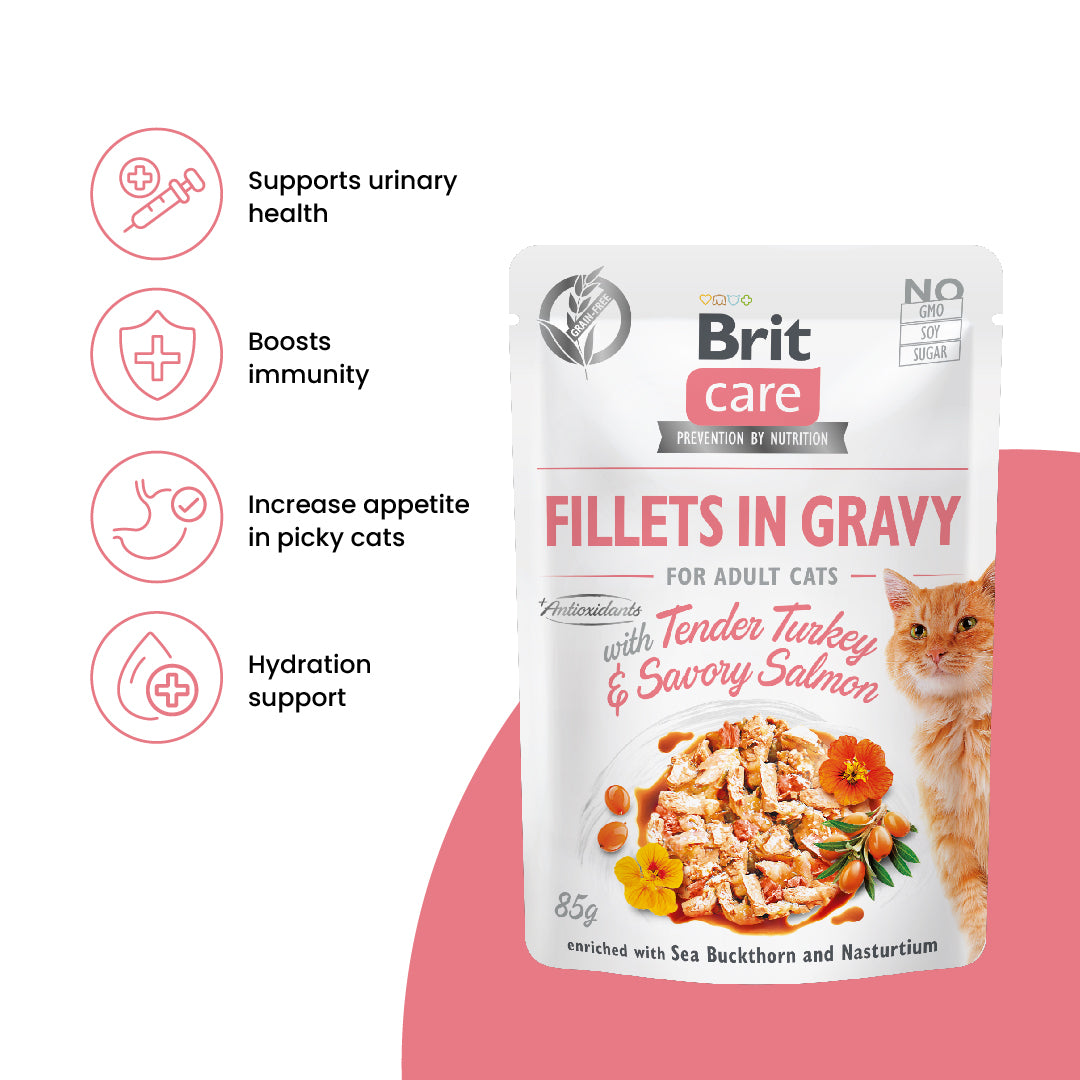 Brit Care Cat Fillets in Gravy With Tender Turkey & Savory Salmon 85g-Brit-Catsmart-express