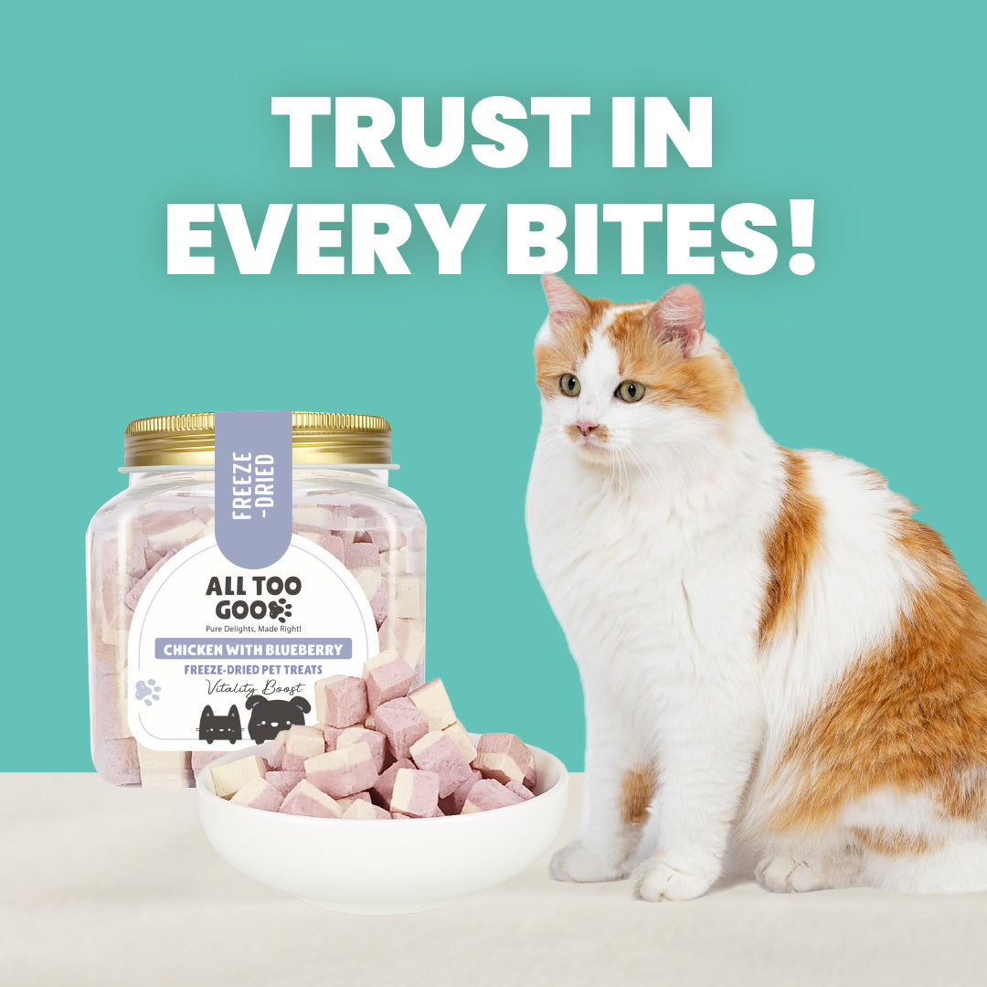 All Too Good Freeze-Dried Treats Chic w/Blueberry 100g-Catsmart-express-Catsmart-express